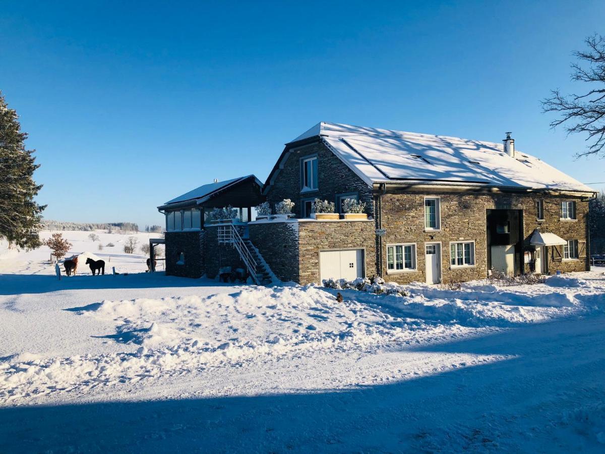 B&B Pegasus II - Chambre Familiale De Luxe Avec Sauna Privatif Vielsalm Eksteriør billede