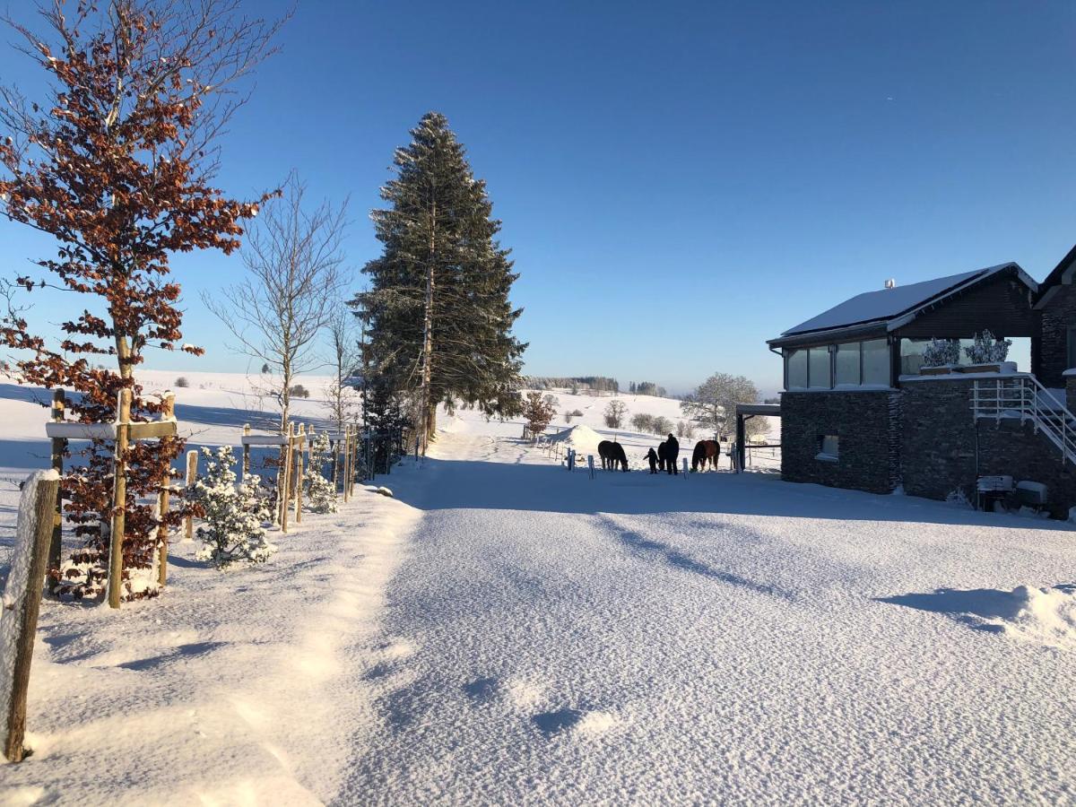 B&B Pegasus II - Chambre Familiale De Luxe Avec Sauna Privatif Vielsalm Eksteriør billede