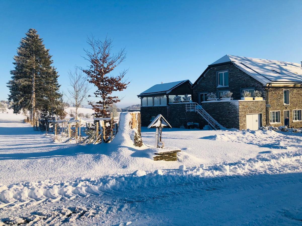 B&B Pegasus II - Chambre Familiale De Luxe Avec Sauna Privatif Vielsalm Eksteriør billede