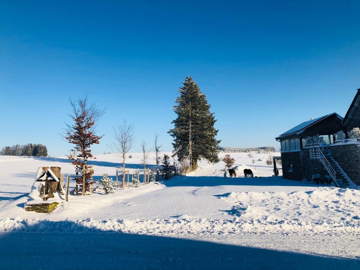 B&B Pegasus II - Chambre Familiale De Luxe Avec Sauna Privatif Vielsalm Eksteriør billede
