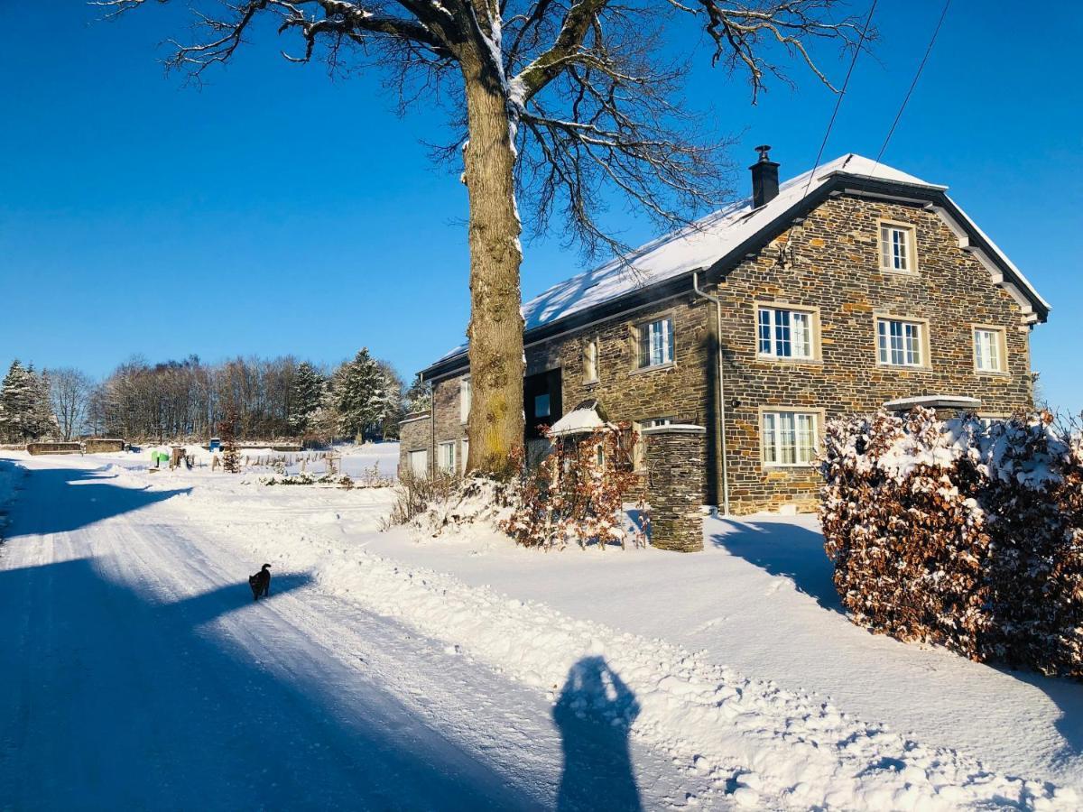 B&B Pegasus II - Chambre Familiale De Luxe Avec Sauna Privatif Vielsalm Eksteriør billede